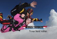 WT_Logo_01.jpg